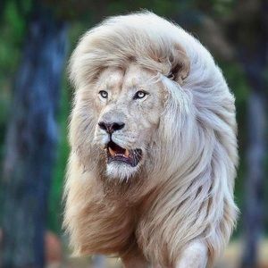 Meet your Posher, Spero